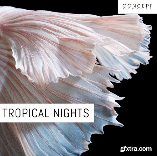 Concept Samples Tropical Nights WAV