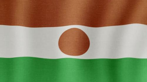 Videohive - The National Flag of Niger - 38995353 - 38995353