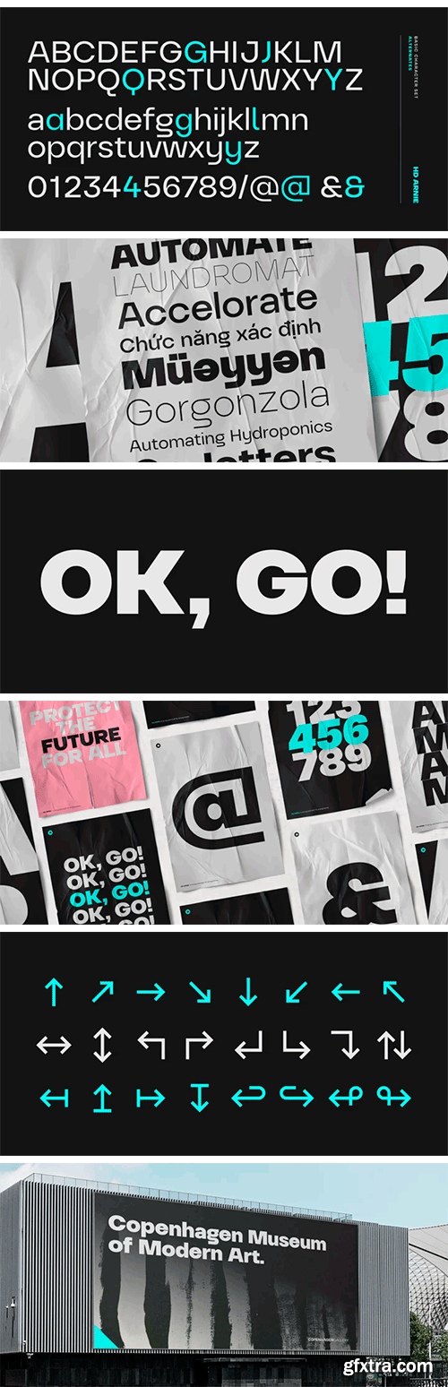 HD Arnie Font Family