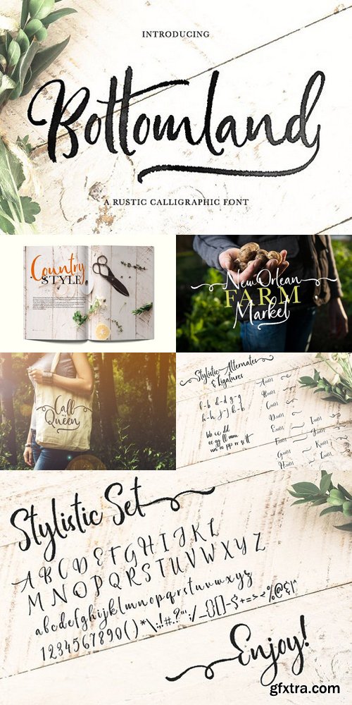 Bottomland Ink Script Font