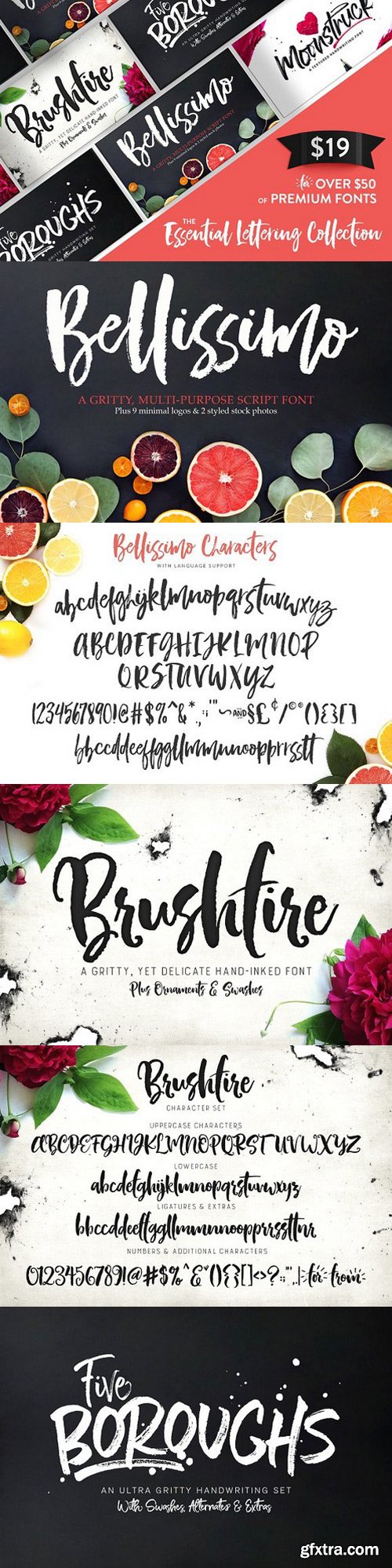 Essential Lettering Collection