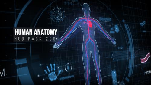 Videohive - Human Anatomy HUD Pack 200+ - 22128440 - 22128440