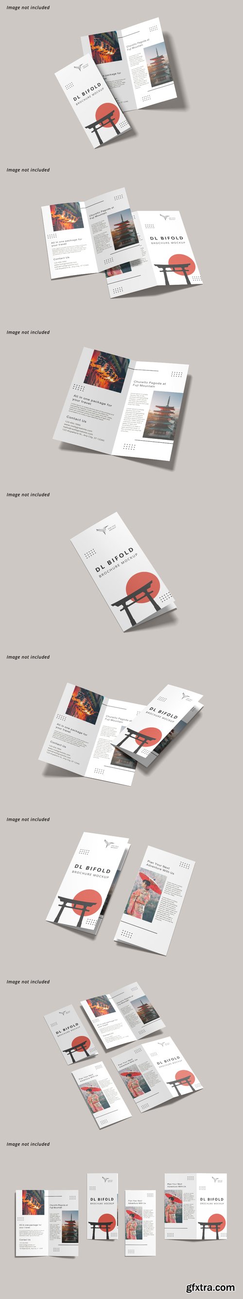 Dl bifold brochure mockup