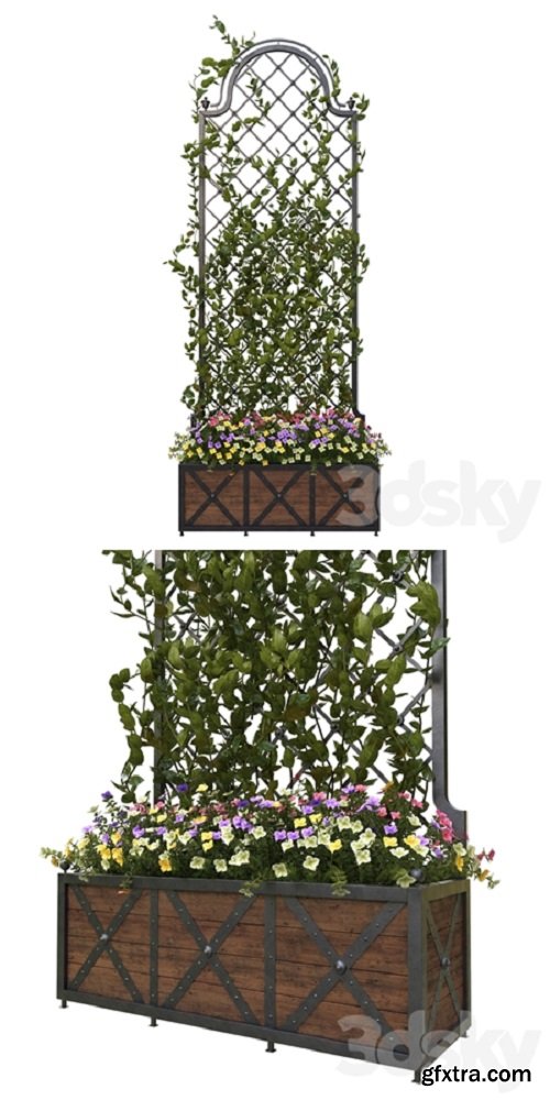 Pergola with flowers