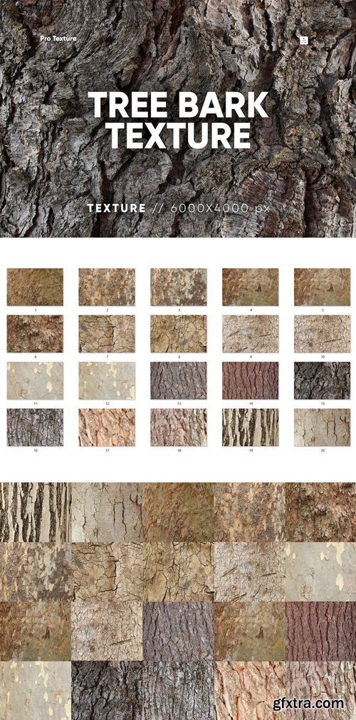 20 Tree Bark Textures 62B4AY6