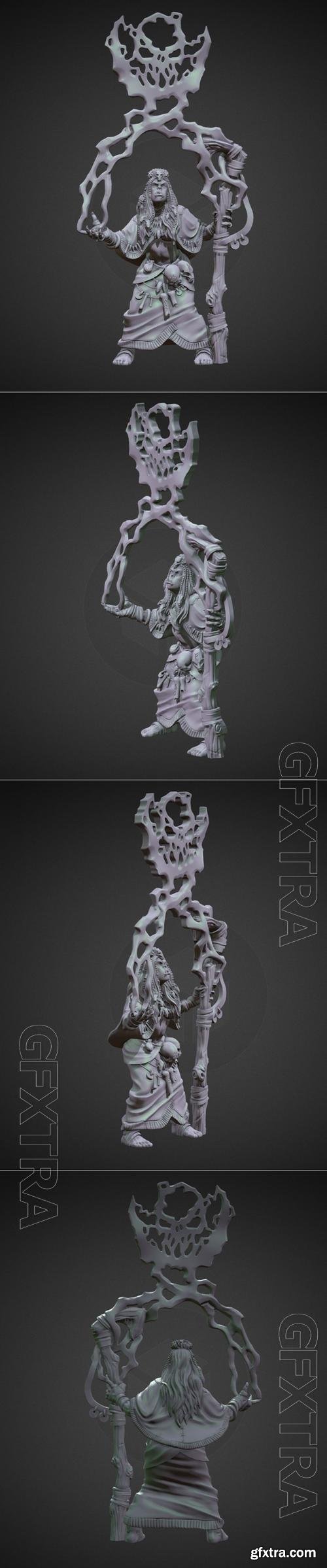 Thunder Shaman Orc Female 3D Print