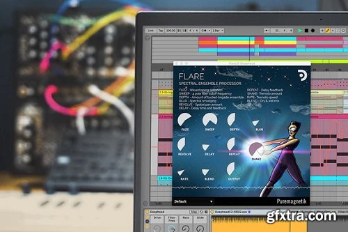 Puremagnetik Flare v1.0.1