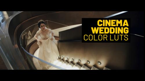 Videohive - Cinema Wedding LUTs for Final Cut - 39235777 - 39235777