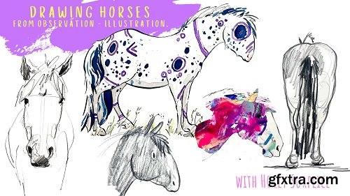 How to draw a Horse - Observation to Illustration