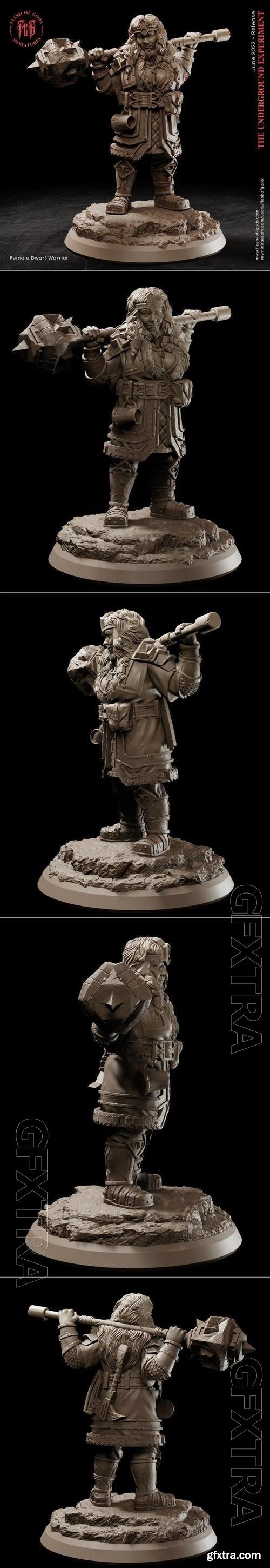 Hero Female Dwarf 3D Print