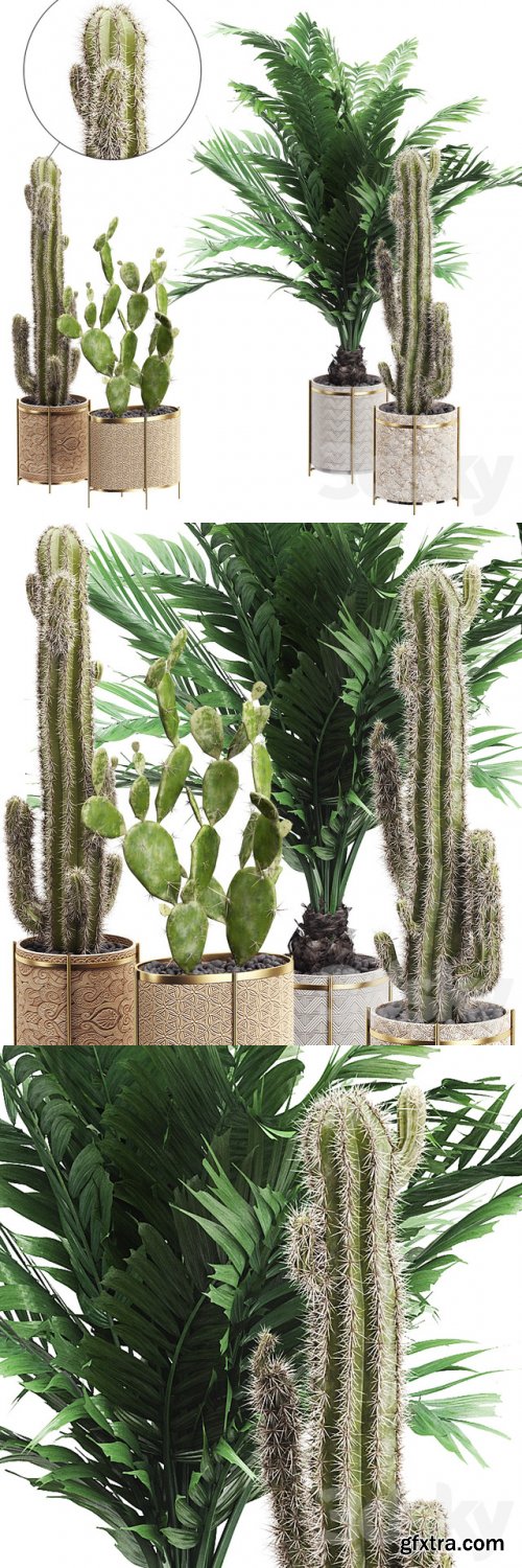  INTERIOR FLOWER PACK 20 – CACTUS. Part 4