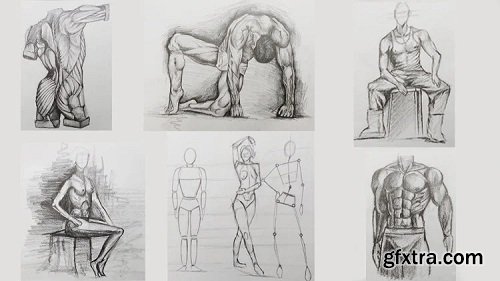 Figure Drawing Course From Beginner to Advanced