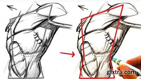 How To Pen Drawing - One Shape I Torso To Draw Any Body