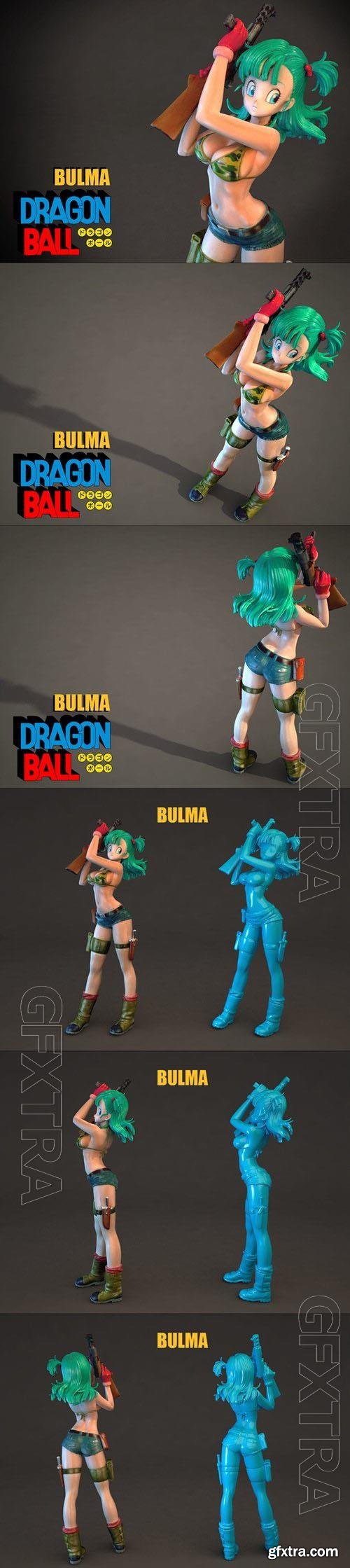 Bulma 3D Print