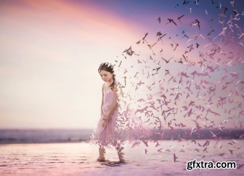 Tara Lesher Education - Lets's Fly Away