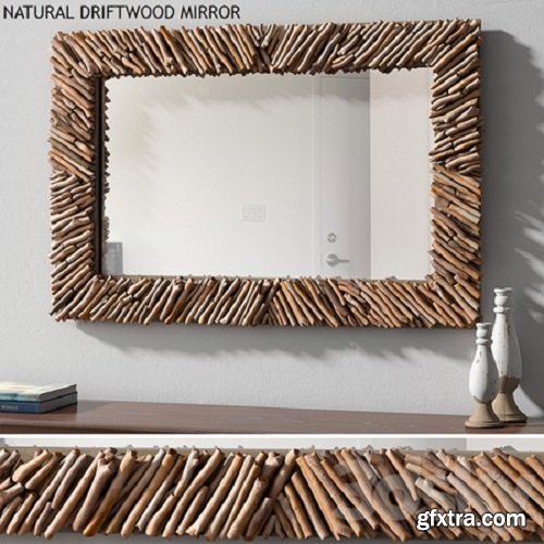 Pottery barn NATURAL DRIFTWOOD MIRROR