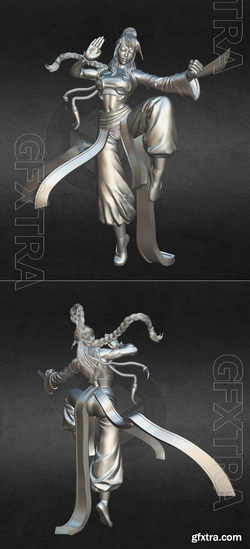 Sword and Sorcery - Shakiko (Monk Hero) 3D Print