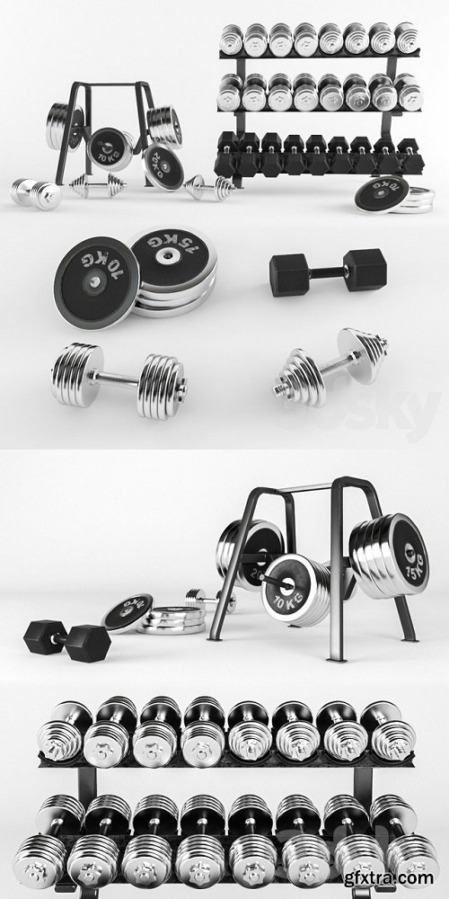 A set of sports dumbbells and pancakes on the racks