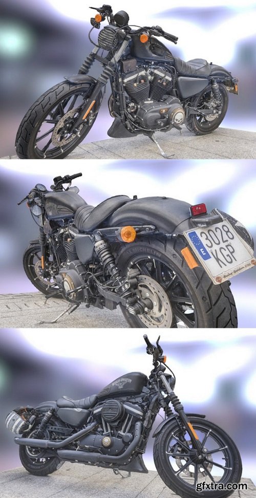 Harley Davidson IRON 883 3D Model