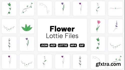 Videohive Flower Lottie Elements 39551704