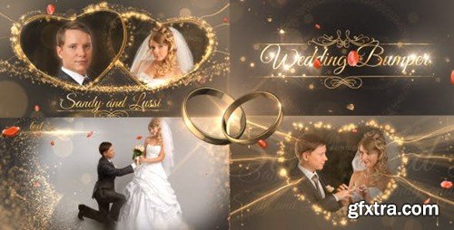 Videohive Wedding Package 18844092