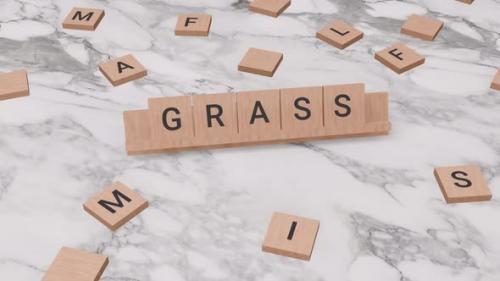 Videohive - Grass word on scrabble - 39602482 - 39602482