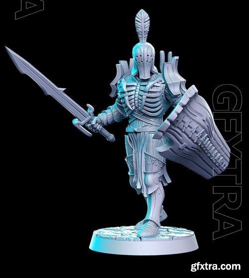 Amladril with sword and shield (elven deathknight) 3D Print