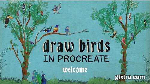 Draw Birds in Procreate