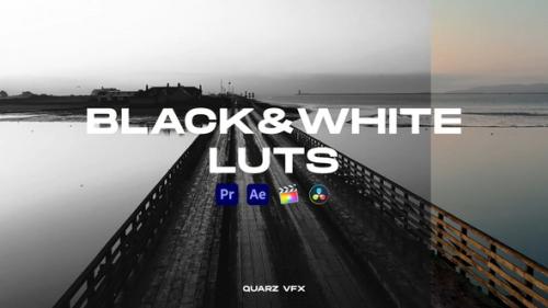 Videohive - Black&White LUTs Color Presets - 39611819 - 39611819