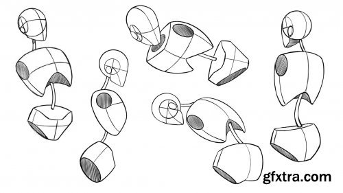 Figure Drawing - The 3 Main Masses of the Body