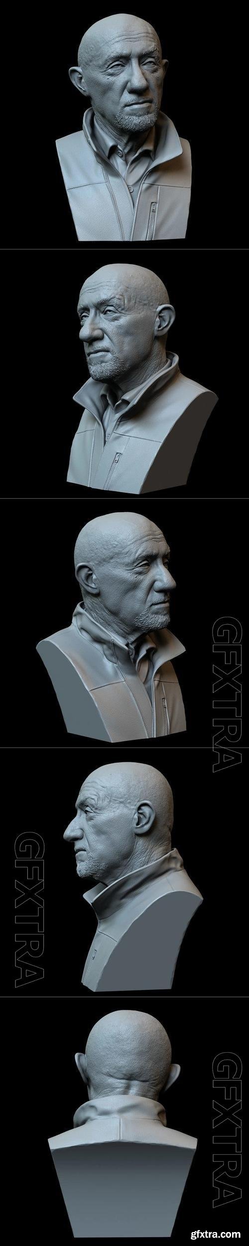 Mike Ehrmantraut (Jonathan Banks) from Breaking Bad and Better Call Saul 3D Print