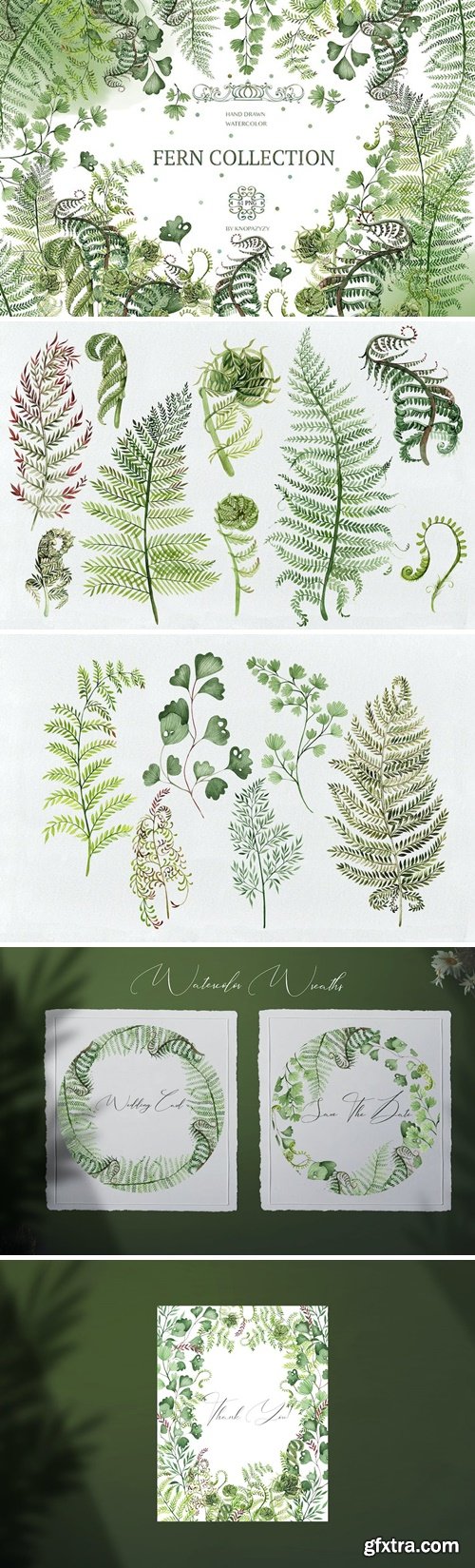 Watercolor Fern Collection W7MKD4F