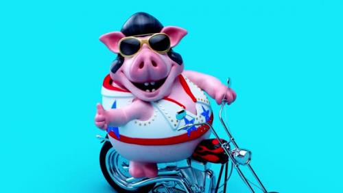Videohive - Fun 3D cartoon animation of a pig rocker on a motorbike - 39663346 - 39663346