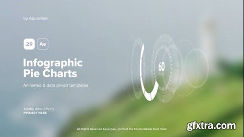 Videohive Infographic Pie Charts 39699110