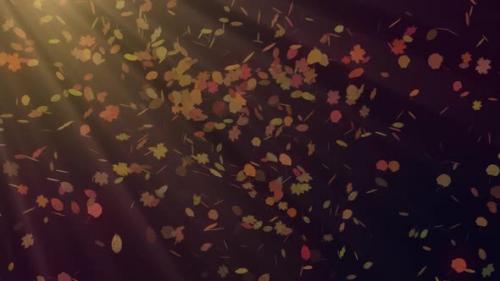 Videohive - Falling Leaves With Sun Rays - 39681488 - 39681488