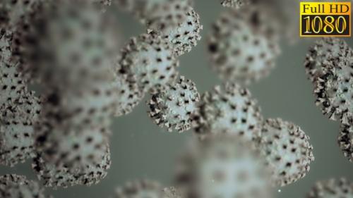 Videohive - Virus Medicine Background Loops Pack V7 - 39682829 - 39682829