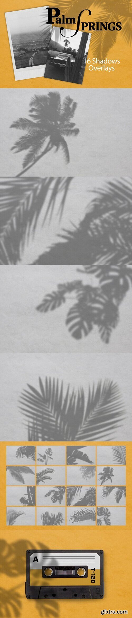 CreativeMarket - PALM SPRING | SHADOW OVERLAYS 7807140