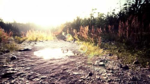 Videohive - Dirt Country Road in the Field in Autumn on a Sunny Day - 39624535 - 39624535