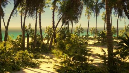 Videohive - Tropical Beach with White Sand Turquoise Water and Palm Trees - 39704322 - 39704322