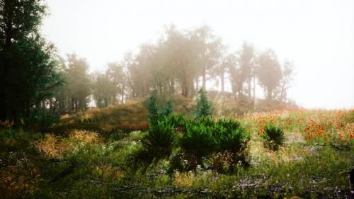 Videohive - Foggy Summer Morning in the Mountains - 39707781 - 39707781