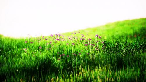 Videohive - Green Meadow Under Blue Sky - 39708031 - 39708031