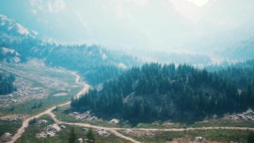 Videohive - Aerial View of Green Coniferous Forest in the Mountains - 39709994 - 39709994