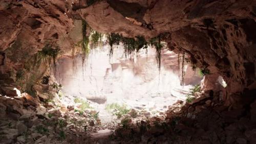 Videohive - Inside a Limestone Cave with Plants and Sun Shine - 39710113 - 39710113