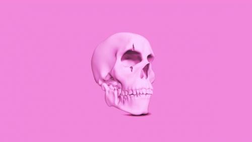 Videohive - Pink Skull - 39726186 - 39726186