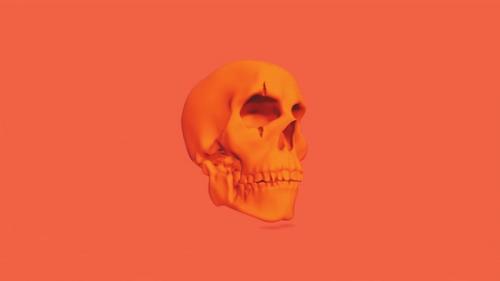 Videohive - Orange Skull - 39726787 - 39726787