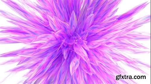 Videohive Pink Flower Logo Reveal 38952968