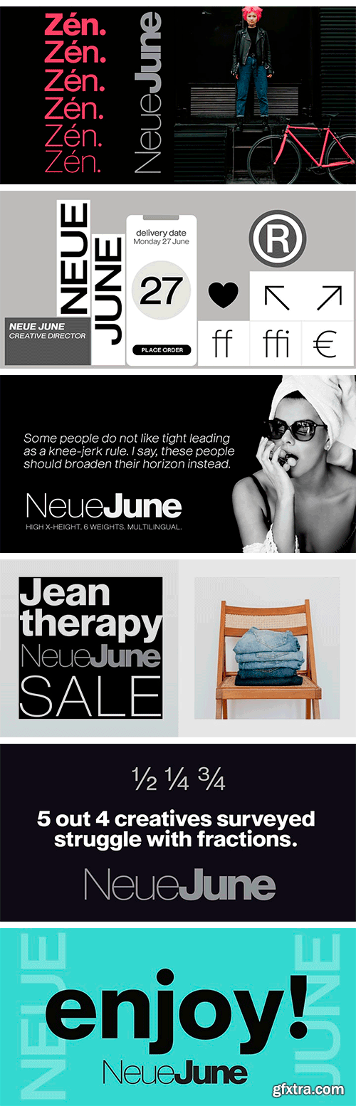 Neue June Font Family