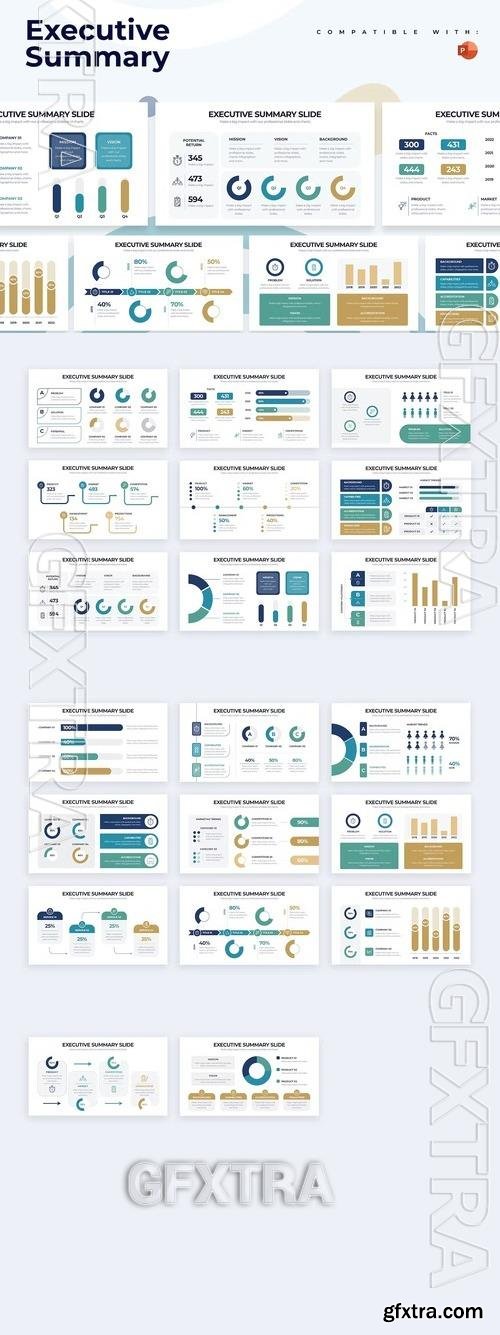 Business Executive Summary PowerPoint Infographics 959TM65