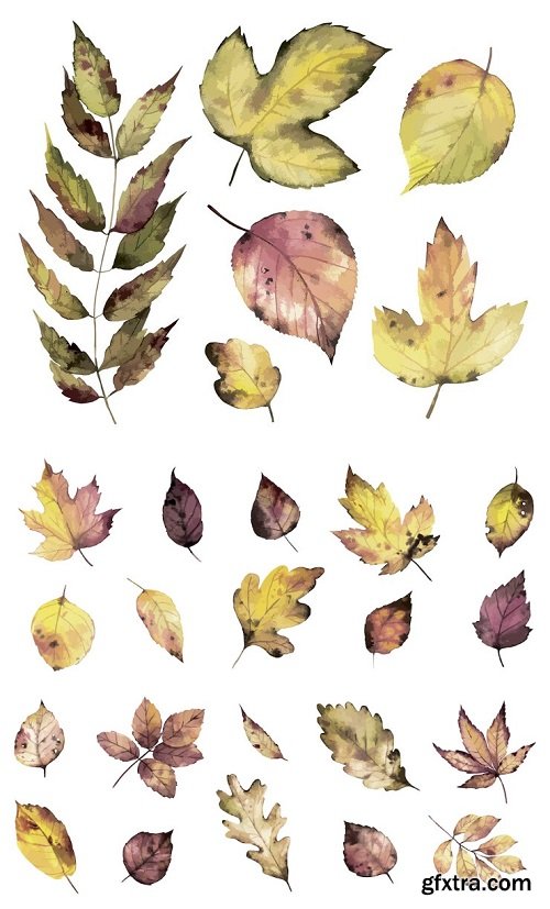 Autumn leaves watercolor clipart set