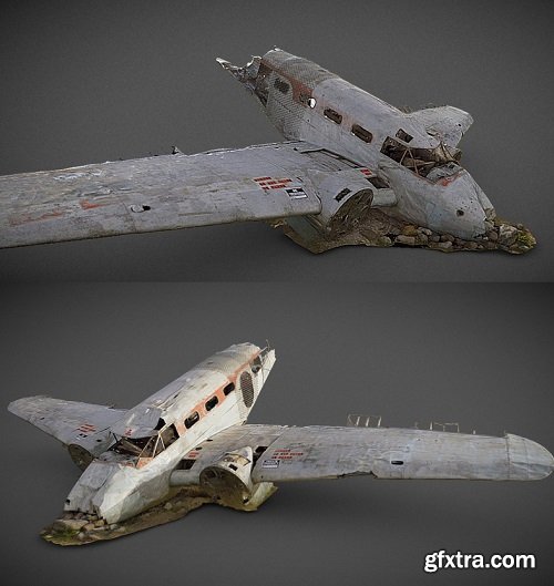 Aircraft Crash 3D Scan 3D Model